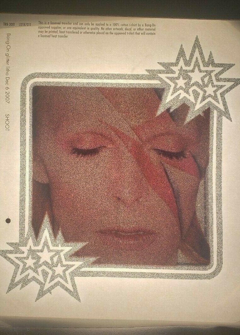 David Bowie Ziggy Stardust Iron On Heat Transfer Colored  8
